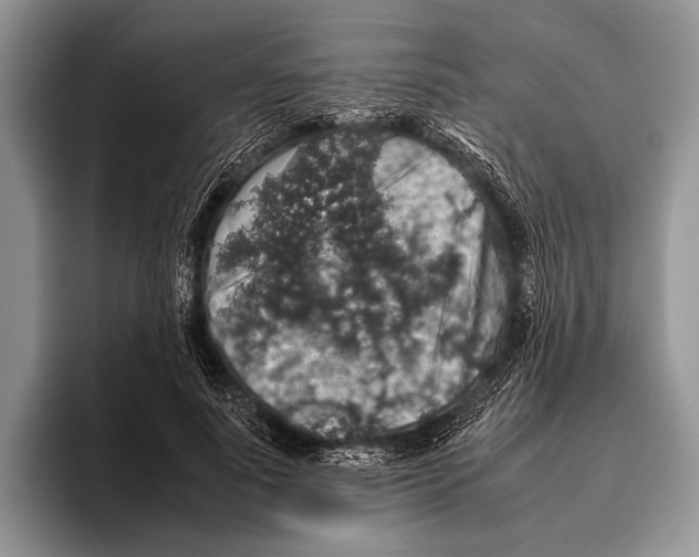 X0000095950691200802081258