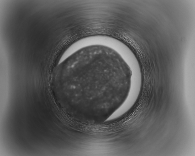 X0000095950693200802081257