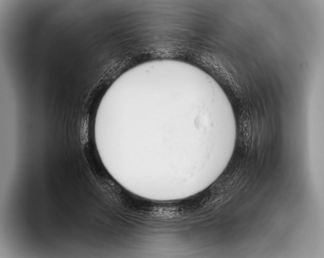 X0000095950694200802081257