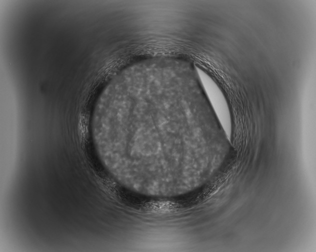 X0000095950695200802081257