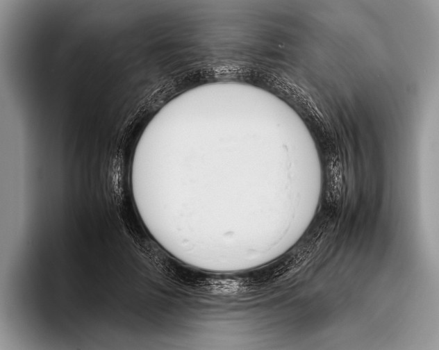 X0000095950698200802081257