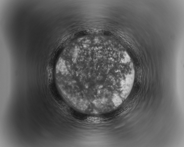 X0000095950699200802081257