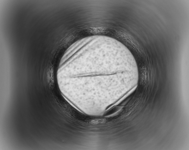 X0000095950700200802081257