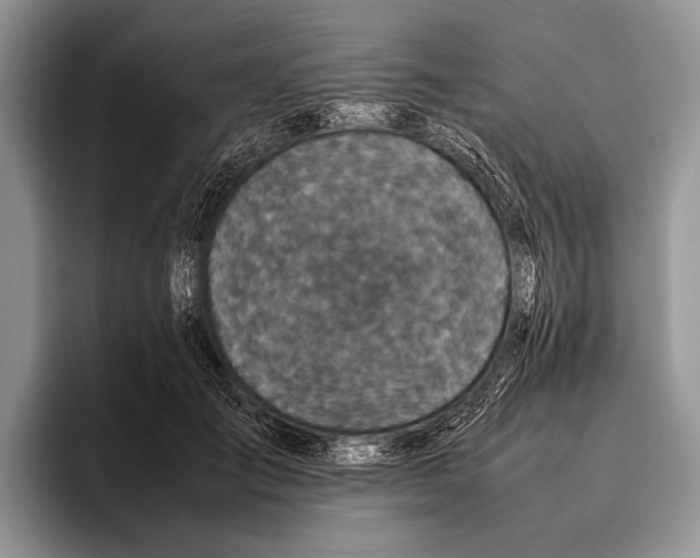 X0000095950701200802081257