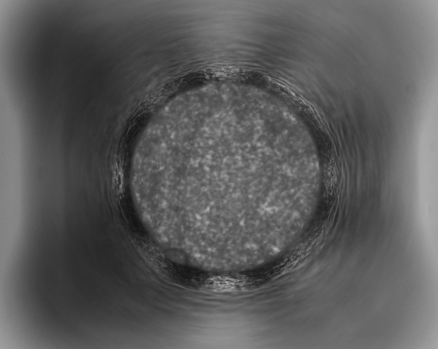 X0000095950703200802081257