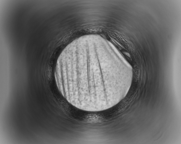 X0000095950704200802081257