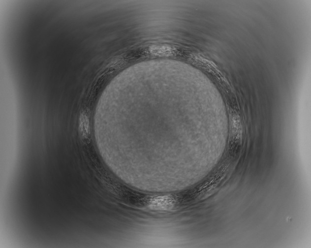 X0000095950705200802081257