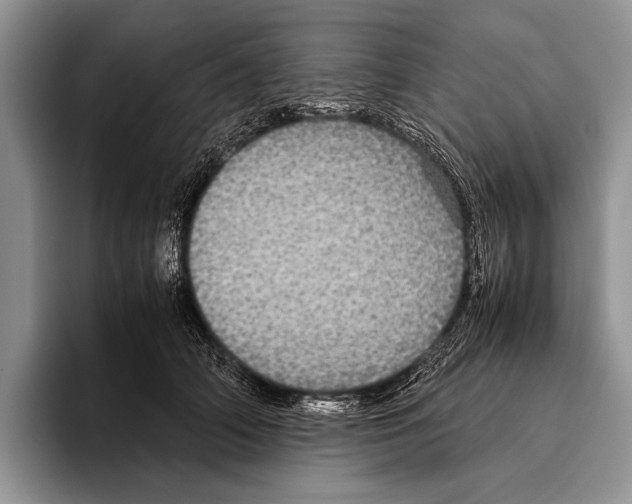 X0000095950706200802081257