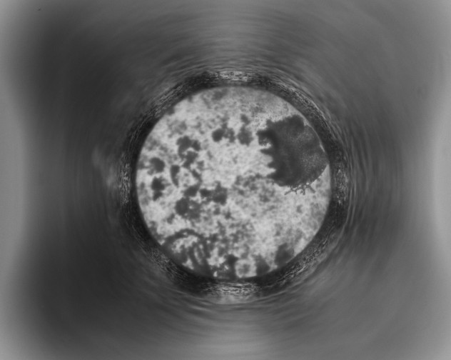 X0000095950707200802081257