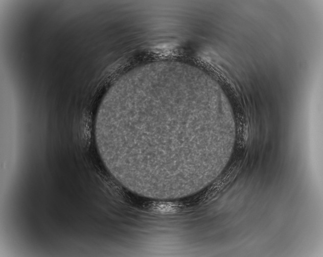 X0000095950710200802081257