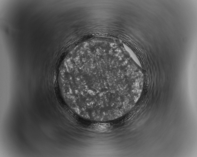 X0000095950711200802081257