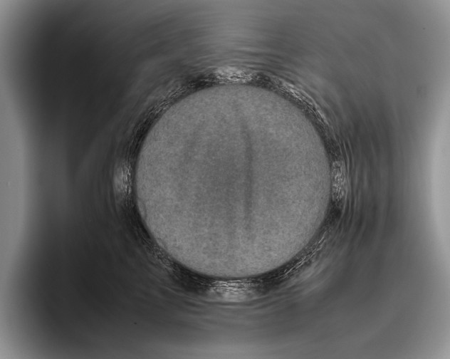 X0000095950713200802081257