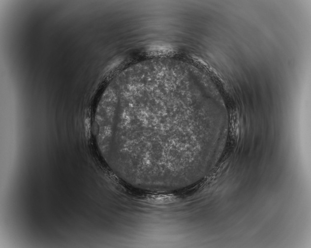 X0000095950716200802081257