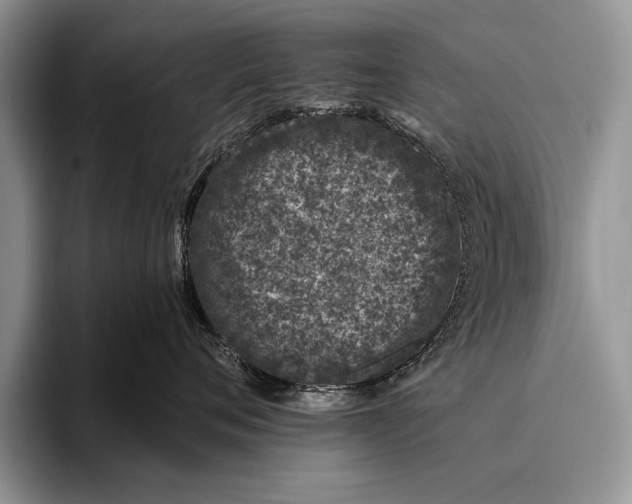 X0000095950720200802081257