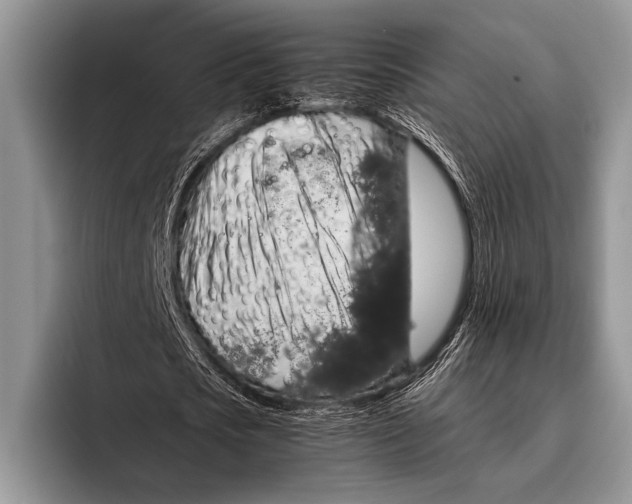 X0000095950721200802081256