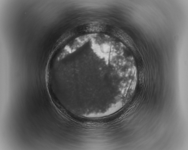 X0000095950722200802081257