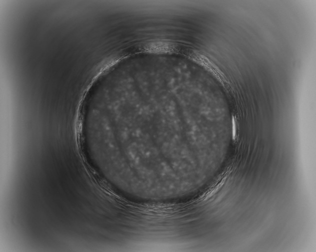 X0000095950723200802081257