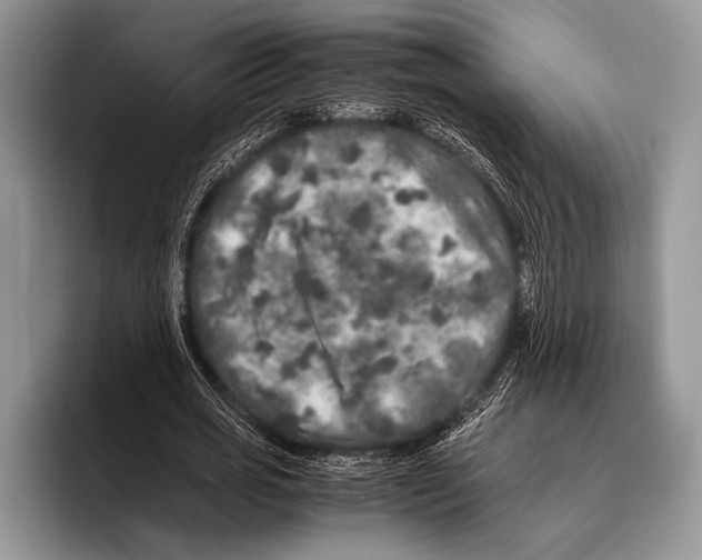 X0000095950725200802081257