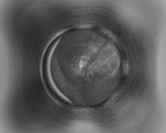 X0000095950726200802081257