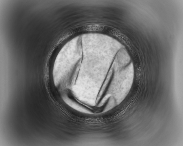 X0000095950727200802081257