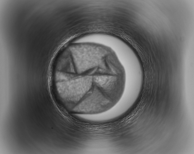 X0000095950728200802081257