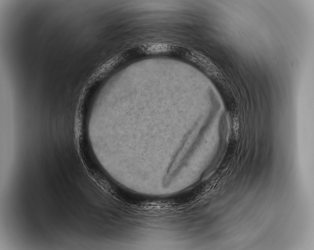 X0000095950732200802081257