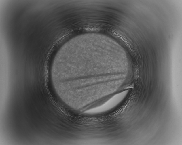 X0000095950733200802081257