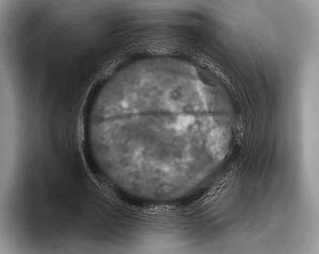 X0000095950734200802081257