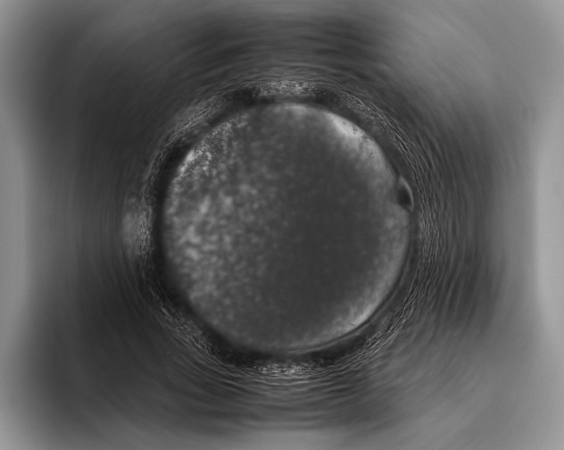 X0000095950735200802081257