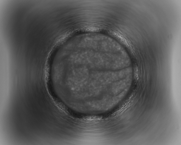 X0000095950736200802081257