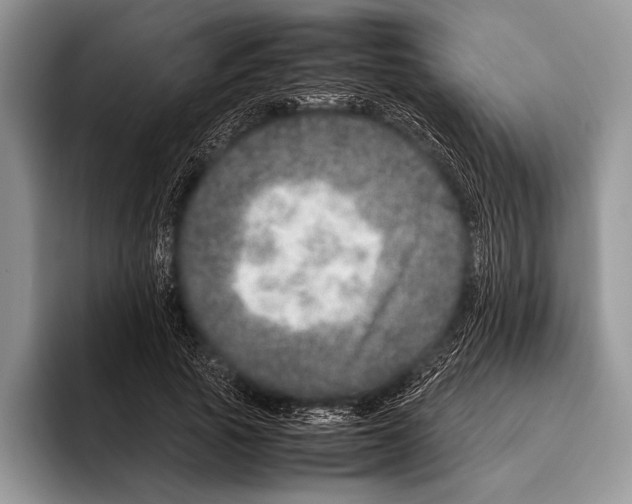 X0000095950737200802081257