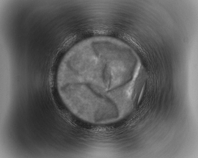 X0000095950738200802081257