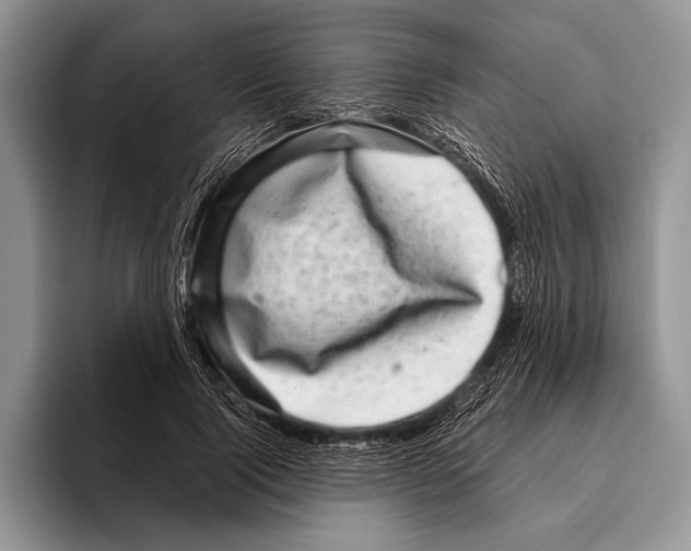 X0000095950740200802081257