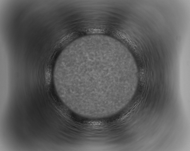 X0000095950741200802081257