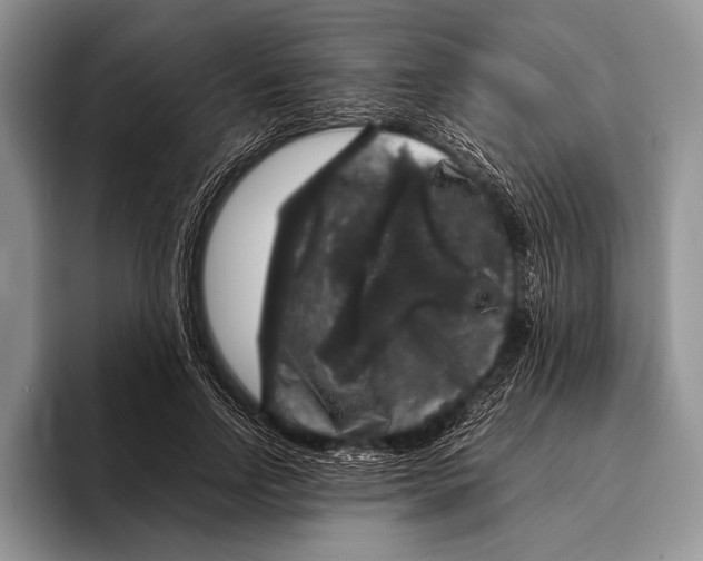 X0000095950742200802081257