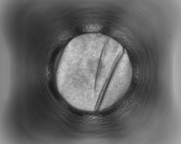 X0000095950743200802081257