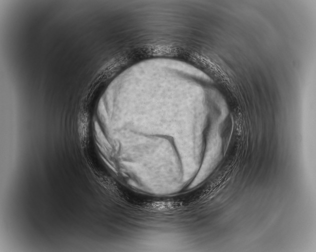 X0000095950744200802081257