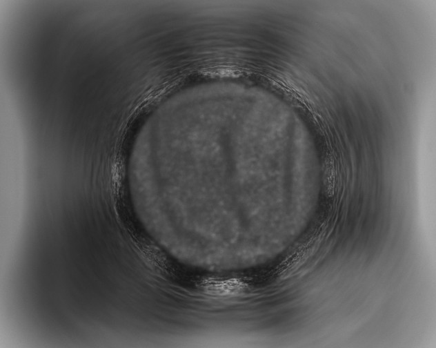 X0000095950747200802081257