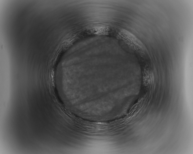 X0000095950748200802081257