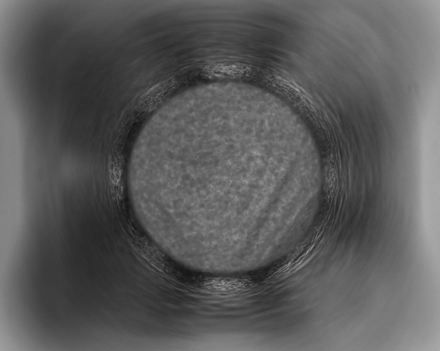 X0000095950749200802081257