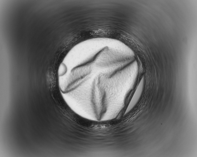 X0000095950751200802081257