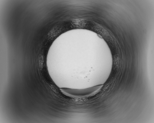 X0000095950752200802081257