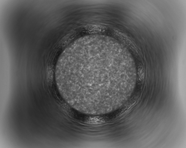 X0000095950753200802081257