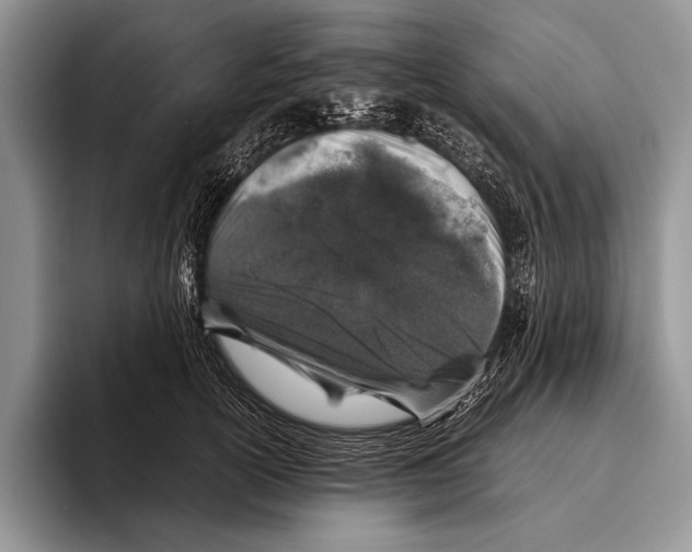 X0000095950754200802081257