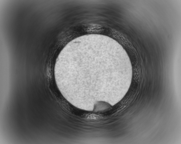 X0000095950755200802081257