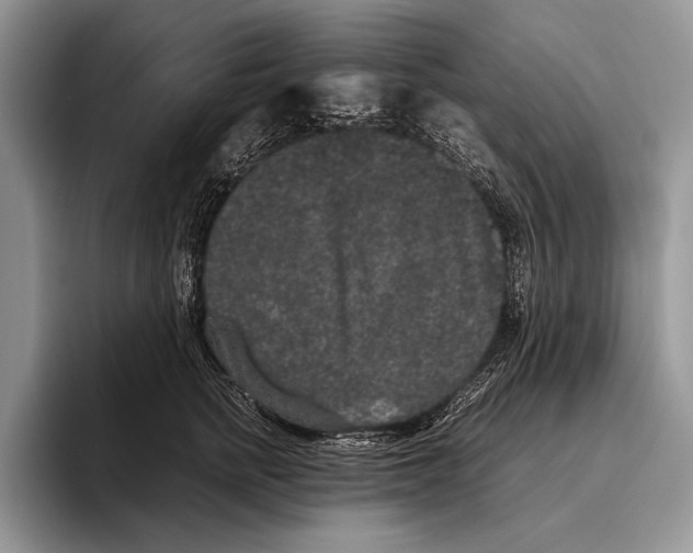 X0000095950758200802081257