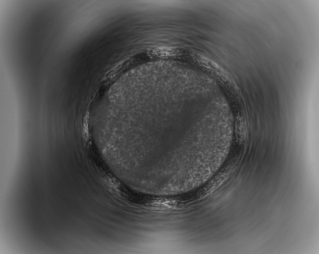 X0000095950760200802081257