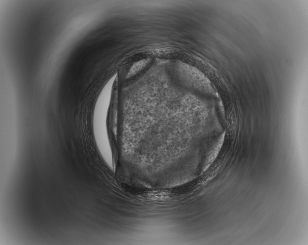 X0000095950762200802081257