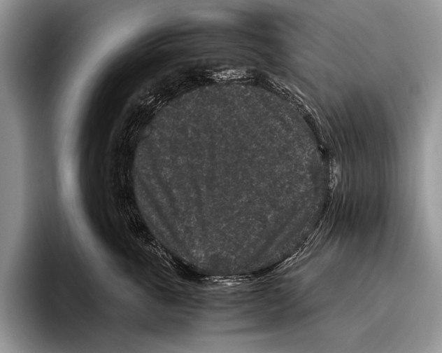 X0000095950763200802081257