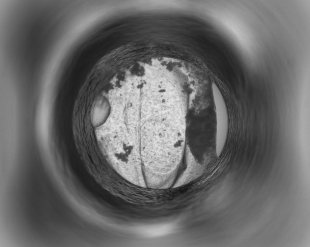 X0000095950765200802081257